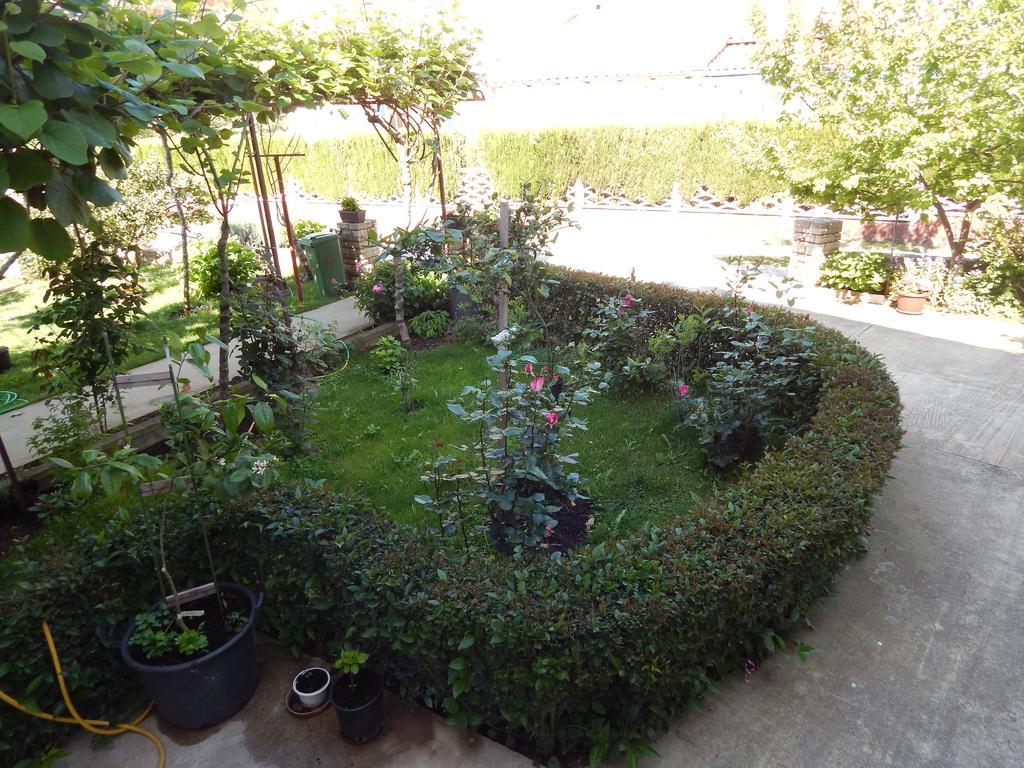 Apartment Saric Sukošan Esterno foto